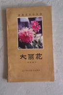 大丽花 1983年一版一印 私藏未阅品好