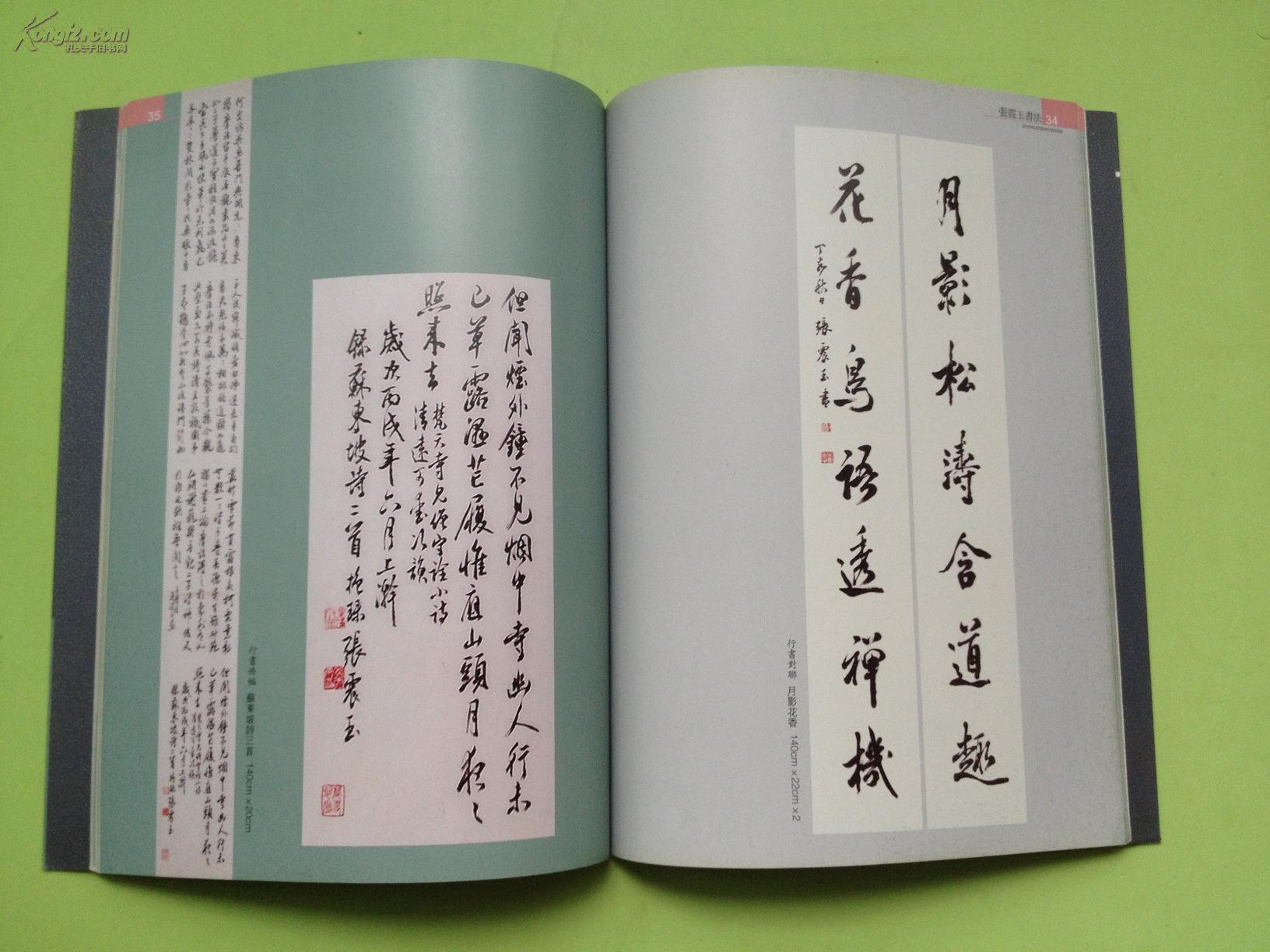 张震玉书法集