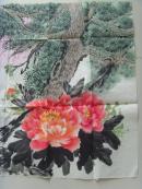 吴素琴（劲松）：画：万紫千红（带原作邮寄信封及简介）（ 吴素琴，退休后参加老年大学国画班学习，酷爱学习画画牡丹。作品多次参加过全国省、市、区画展以及全国各地书画报刊的比赛活动、多次荣获金、银奖，现为武汉市书画家协会会员、北京宝延轩书画院院士等。）（参展获奖画作）