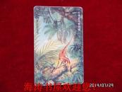 中国电信卡—中华龙鸟复原图  （鸟类起源—辽宁北票中华龙鸟化石）