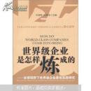 世界级企业是怎样炼成的：全球视野下世界级企业最佳实践研究