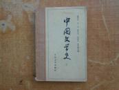 中国文学史（二）