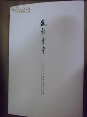 盛气青年  中国当代水墨邀请展作品集