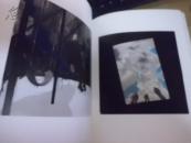 盛气青年  中国当代水墨邀请展作品集