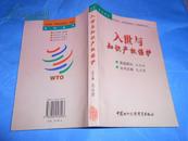 《全球化·世界贸易组织·中国》系列丛书：入世与知识产权保护
