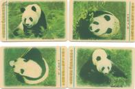 中国电信IC卡---中国四川成都97国际熊猫节（新卡）