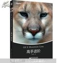 OS X Mountain Lion高手进阶（全彩）