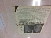 北京日报1967年11月15日