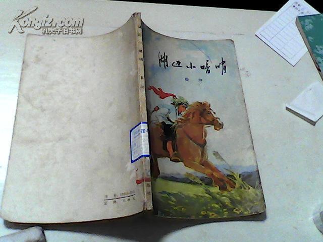 湖边小暗哨【23】