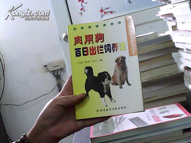 肉用狗百日出欄飼養(yǎng)法
