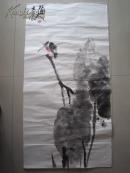 张立辰花鸟画《荷花翠鸟》设色纸本软片