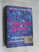 American Society:an introduction to macrosociology（英文原版）