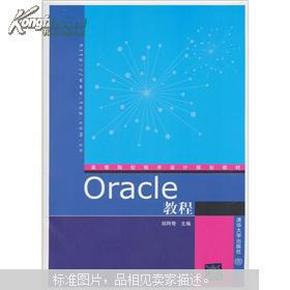 高等院校程序设计规划教材：Oracle教程