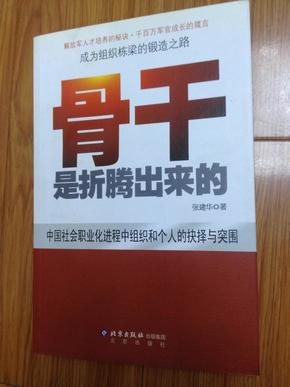 《骨干是折腾出来的—中国社会职业化进程中组织和个人的抉择与突围》经典营销著作！