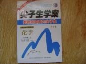 尖子生学案 : 教你如何成为尖子生 : 新课标.化学. 九年级下（粤科）