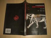 虎、豹及其类似动物骨骼比较解剖图志（95年1版1印3000册）货号：JZ