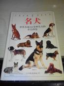 名犬：全世界300多种名犬的彩色图鉴