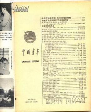 中国青年1978年
