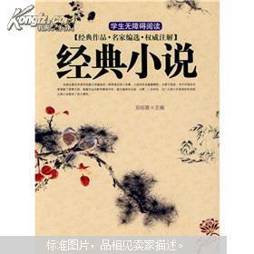 绝妙小说 中国古典文学绝妙书系