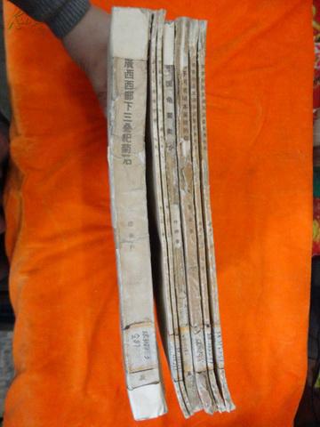 中国古生物志（总号第141、143、144、145、150册 ）：南京附近五通系泥盆纪鱼化石；太子河流域本溪统的蜓科等