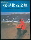 探寻化石之旅