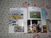 辽宁野生动植物和湿地资源（2004年精装大16开1版1印 印量：1000册！）