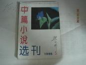 中篇小说选刊（1995年第5期，总第86期）（32949）