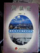 龙头论——浦东经济发展研究论丛