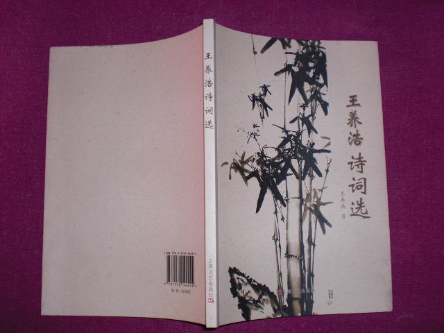 王養(yǎng)浩詩詞選