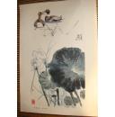 现代中国画选散页：程十发 荷塘双鸭