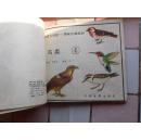 热爱大自然 趣味生物画册①②③④⑤⑥六册合售（家庭闲置）