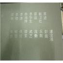 气质与文明 改造历史 2000--2009年的中国新艺术（全17册 外有盒装，梁铨、林海钟等17位画家作品）函套有点破