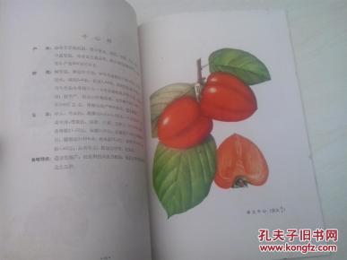 山西省主要果实品种图谱.第二辑 1963【彩图版】