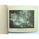 民国早期“日本尼康相机影像宣传册”一本