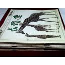 看看我是怎样长大的（蝴蝶 长颈鹿 企鹅 小狗 小猫 小马等，11本合售）