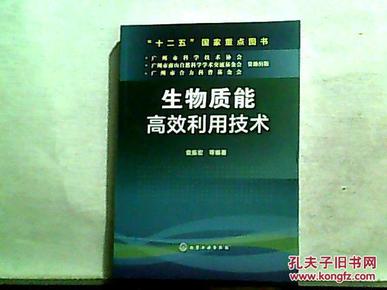 生物质能高效利用技术