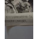 **原版照片——13厘米：《毛主席和江青照片》