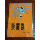 紫霞剑，剑法书籍，武术书籍，武功秘籍类，85品