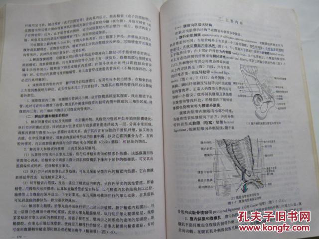 医用局部解刨学（第三版）