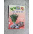 韭菜葱蒜病虫害防治技术1版1印60000册