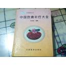 中国饮食补疗大全（精装）897页