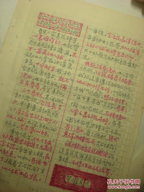 詩人劉銀大文稿《仙人球與寶石花》