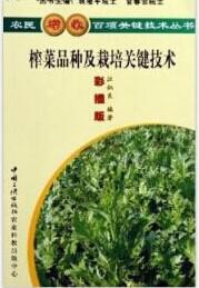 榨菜深加工技術貯藏設備及栽培方法