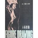 人体素描