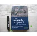 The Capability Approach: Concepts Measures and Applications