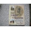 the irish on the somme     【M3】