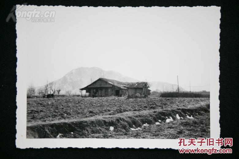 1953年菲律宾某山脚下房屋前的田地原版老照片