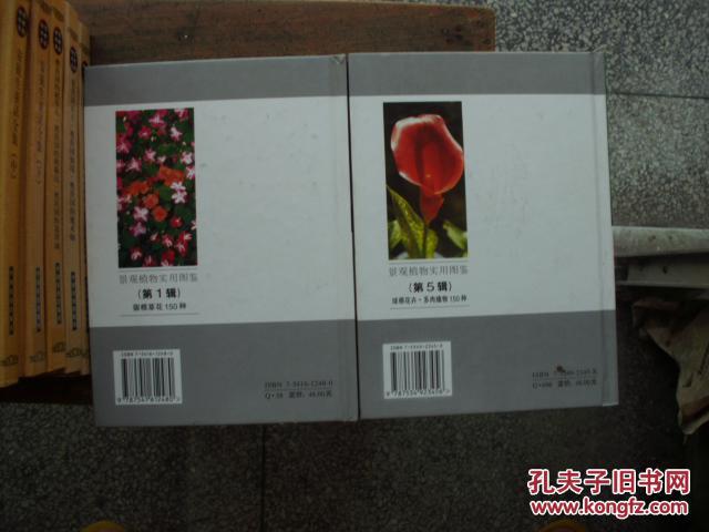 景观植物实用图鉴（第5辑）精选球根花卉多肉植物150种