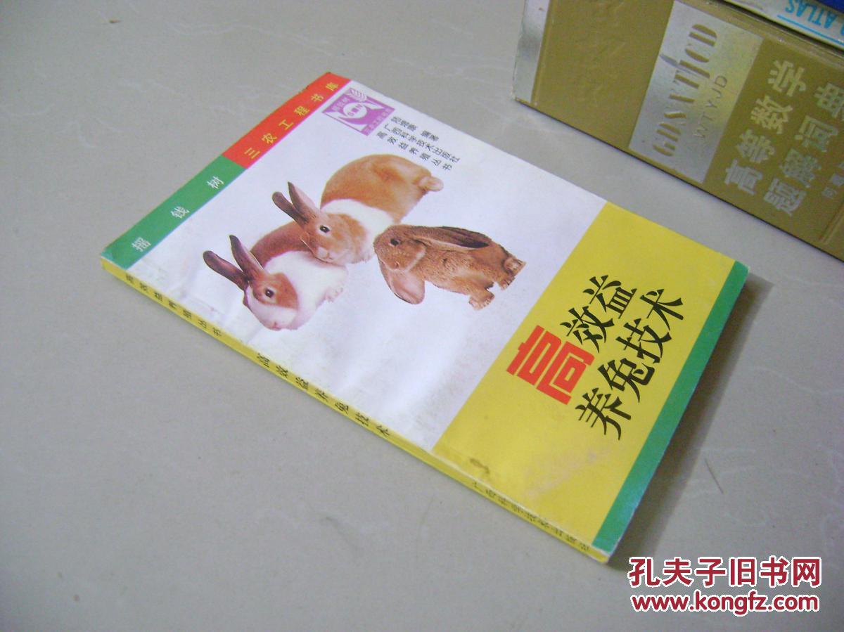 高效益養(yǎng)兔技術(shù)
