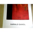 HARALD GANGL ARBEITEN2001-2004